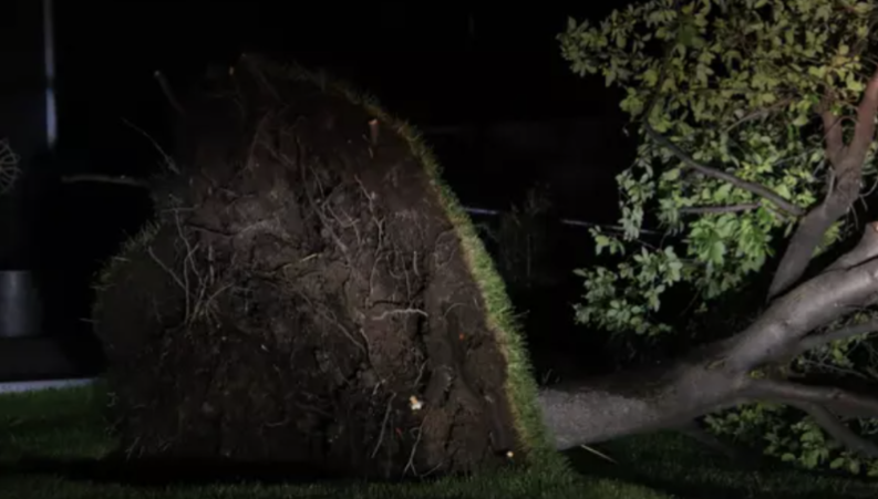 Massive Storms Cause Widespread Power Outages in West Central Montana